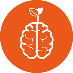 Mindset250